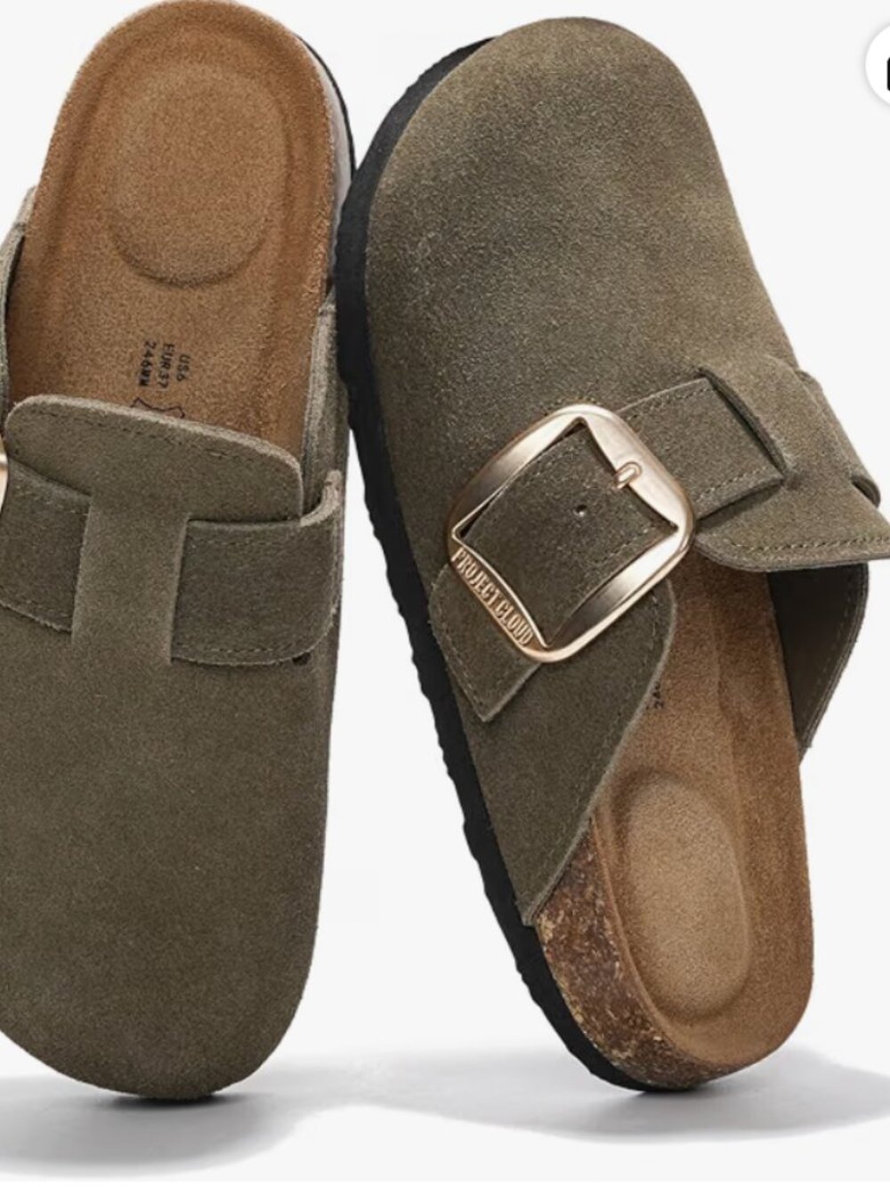 Project Cloud Big Buckle Suede Clog